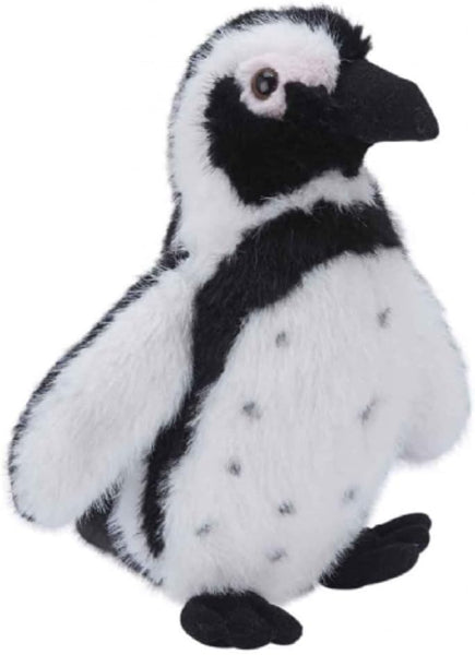 Plush toy penguin on a white background