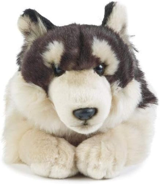 Plush toy husky dog on a white background