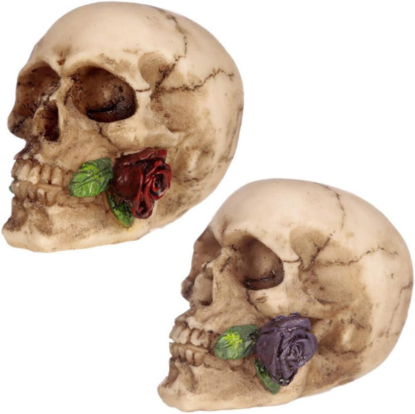 Two decorative skulls with flowers on a white background