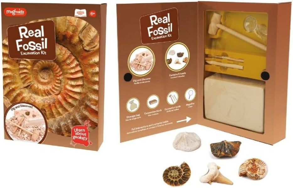 Real Fossil Exploration Kit packaging with fossils and tools displayed.