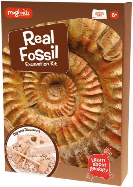 Box of a real fossil excavation kit with a large ammonite fossil on the front.