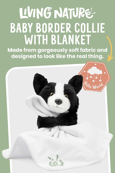 Living Nature Baby Border Collie Dog Plush Soft Toy with Blanket