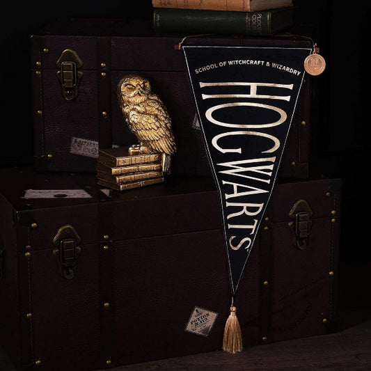Warner Bros Harry Potter Alumni Hanging Banner Hogwarts