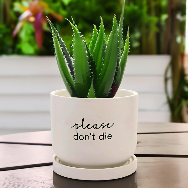 Potted aloe vera plant with 'please don't die' text on a white pot, placed on a wooden surface.