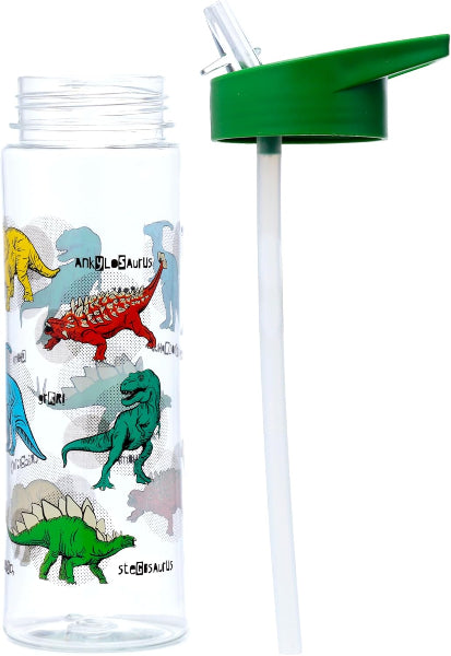 Clear water bottle with dinosaur illustrations and a green lid on a white background