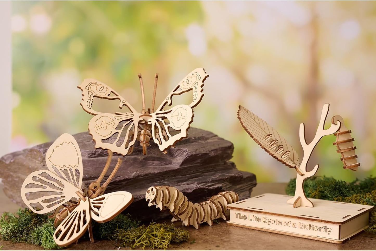 Apples to Pears Gift in A Tin Crafting Kit Cycle of A Butterfly