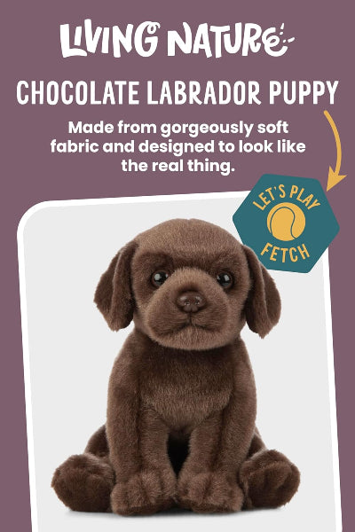 Chocolate Labrador puppy toy with promotional text on a purple background