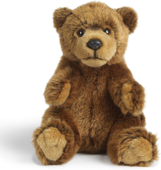 Brown teddy bear on a white background