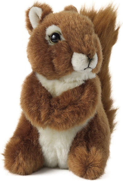 Plush toy squirrel on a white background