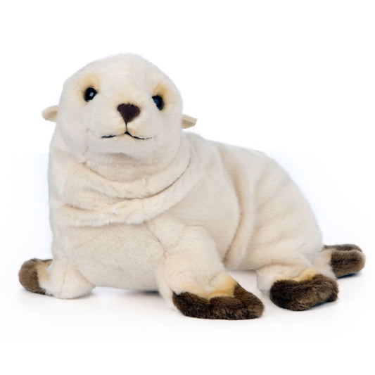 Plush toy seal on a white background