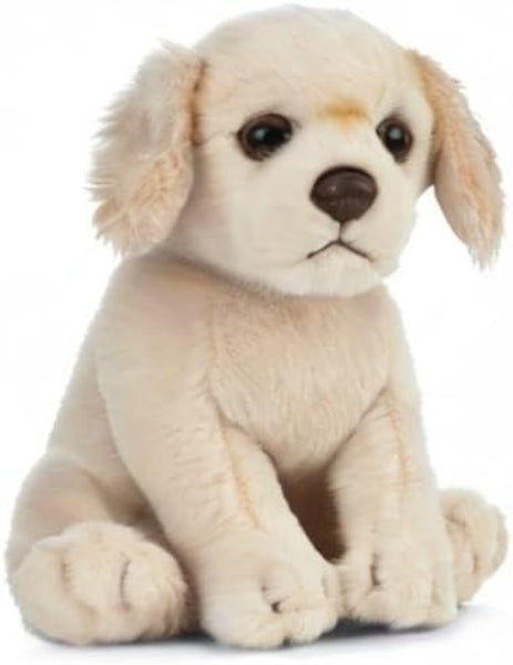 Plush toy dog sitting on a white background
