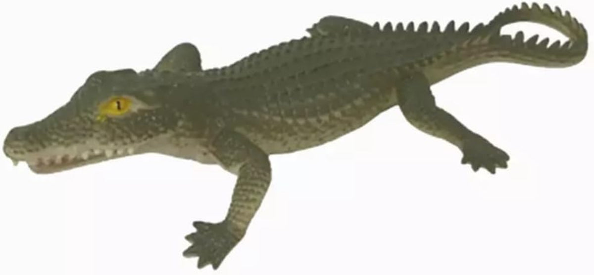 Ravensden Crocodile Stretch 33cms