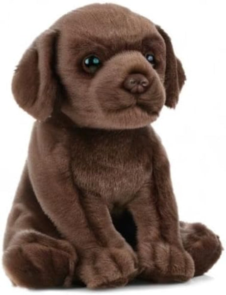 Brown plush dog toy on a white background