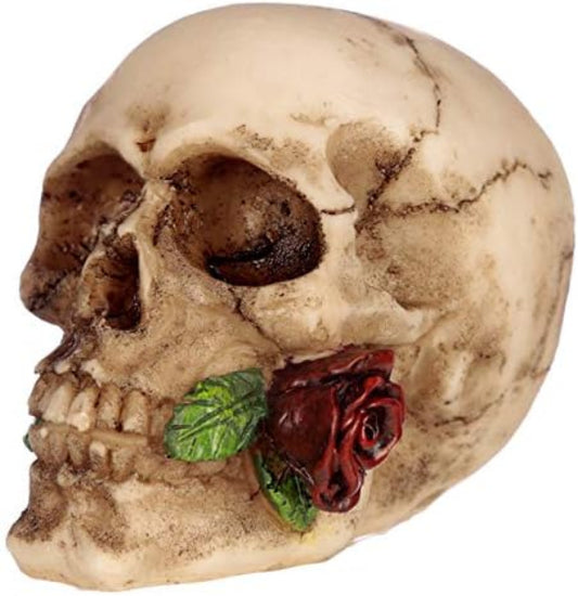 Skull with a rose and green leaves on a white background