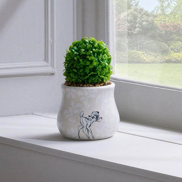 Potted plant on a windowsill with a white pot featuring a design.
