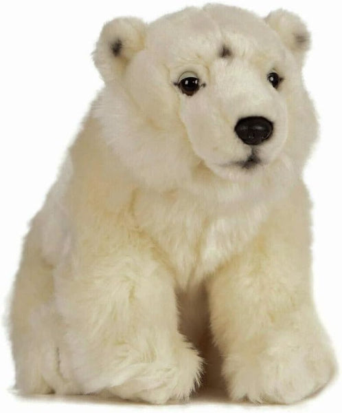 Plush toy polar bear on a white background
