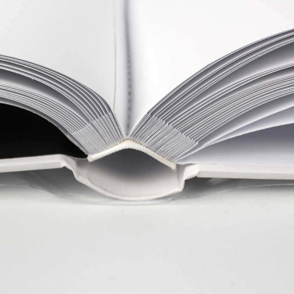 Open book on a white background