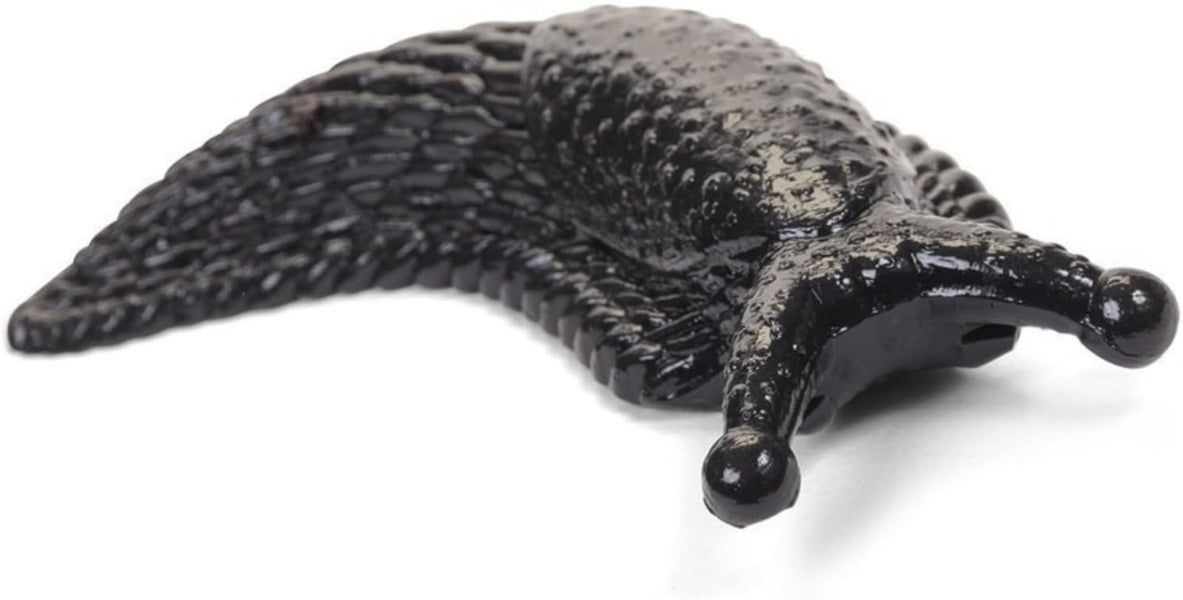 Black slug-like creature on a white background