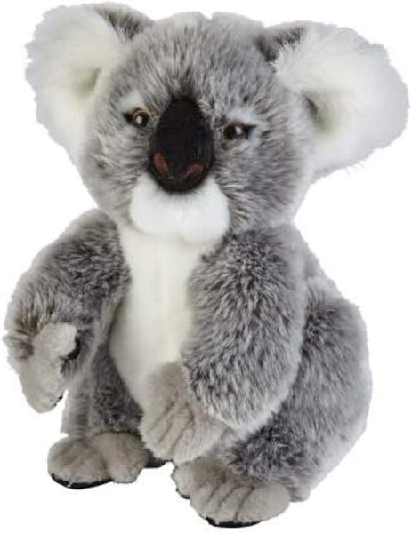 Plush toy koala on a white background