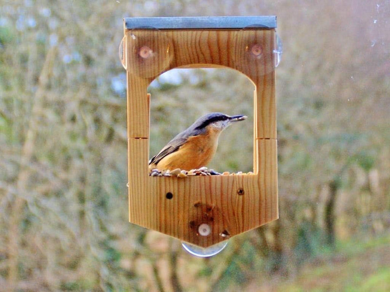 Apples to Pears Build Your Own Bird Feeder
