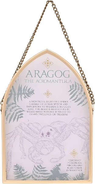 Decorative wall hanging with 'Aragog the Acromantula' design on a white background