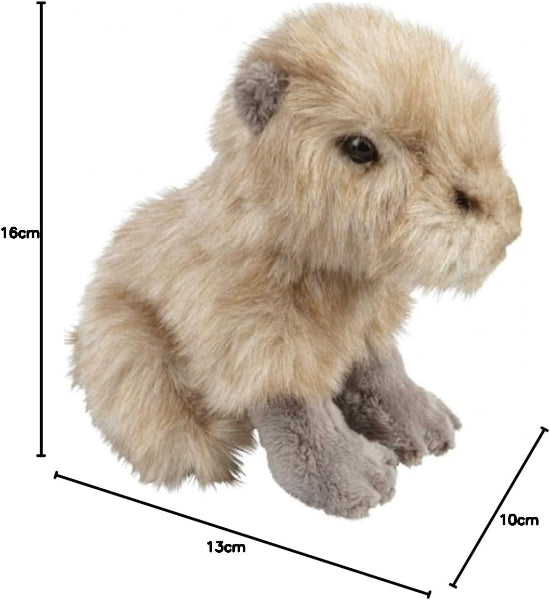Ravensden Soft Toy Plush Capybara Sitting 16cm