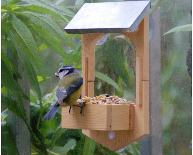 Apples to Pears Build Your Own Bird Feeder
