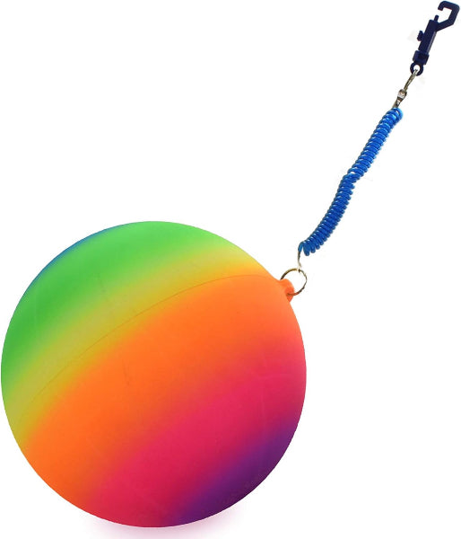 Multicolored ball with a blue leash on a white background