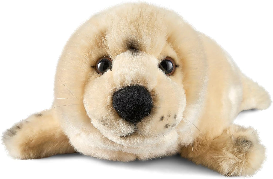 Plush toy seal on a white background