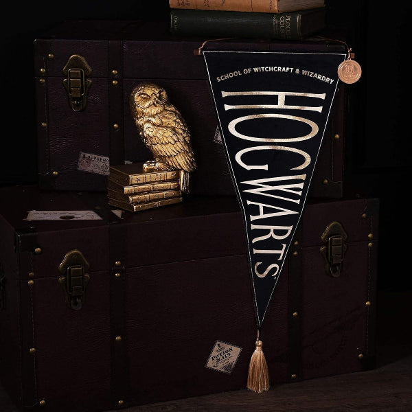 Warner Bros Harry Potter Alumni Hanging Banner Hogwarts