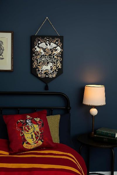 Bedroom with dark blue walls, red and yellow striped bedding, and a Harry Potter-themed pillow.