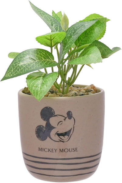 Potted plant with a Mickey Mouse design on the pot