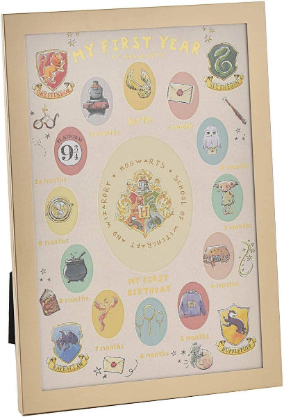 Harry Potter My First Year Photo Frame Monthly Pictures