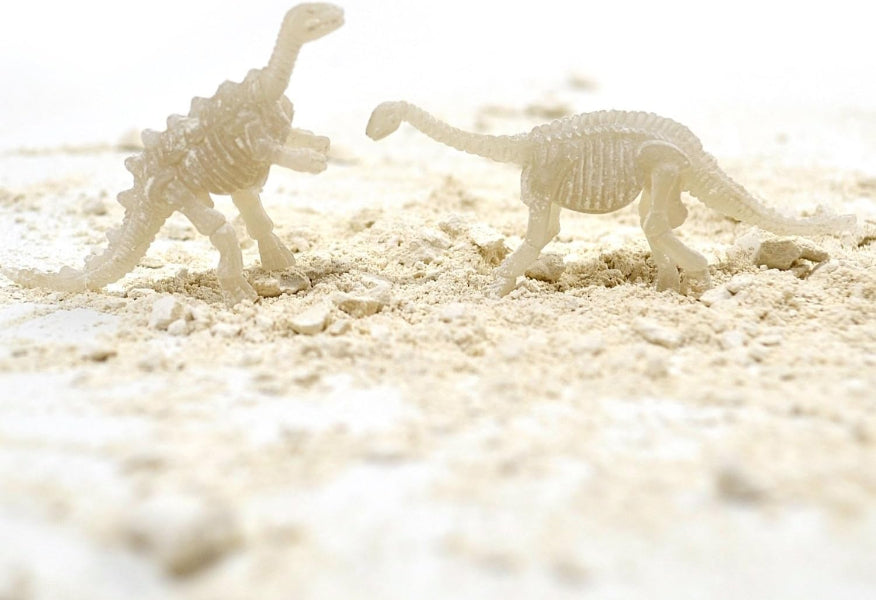 Two dinosaur models on a sandy surface