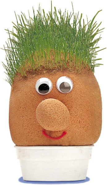 Mr Grasshead