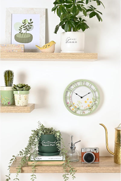 Decorative shelves with plants, a clock, and other items against a white wall.