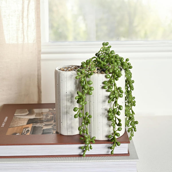 Two potted plants on a stack of books with a window in the background
