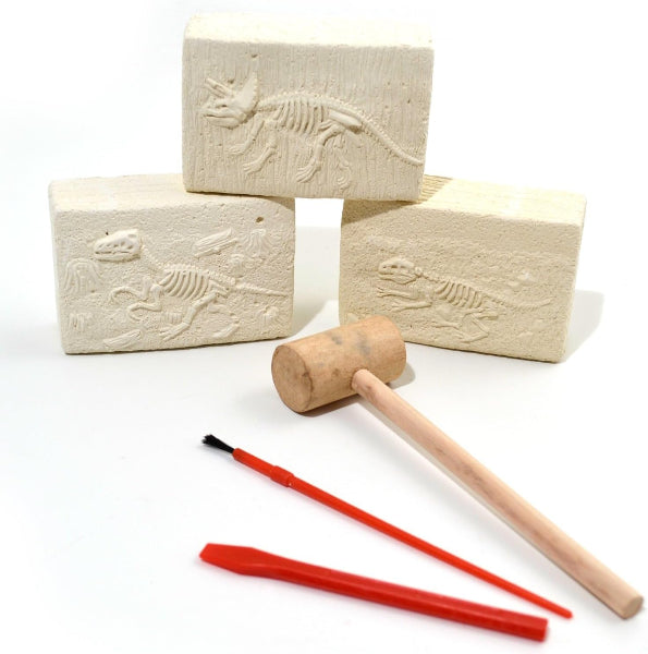 Three blocks with embossed dinosaur skeletons and a wooden mallet on a white background