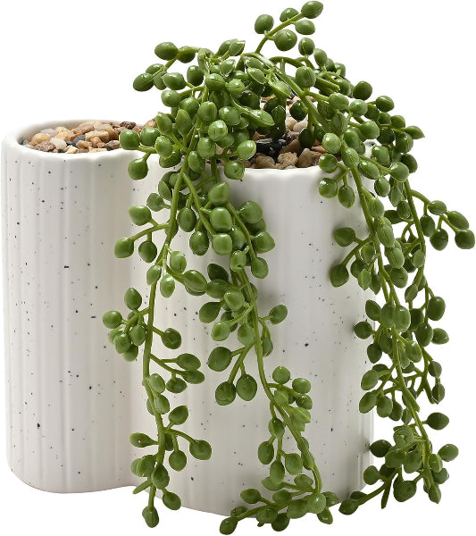 Green hanging plant in a white textured pot on a white background