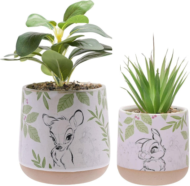 Two potted plants in decorative pots with animal illustrations on a white background