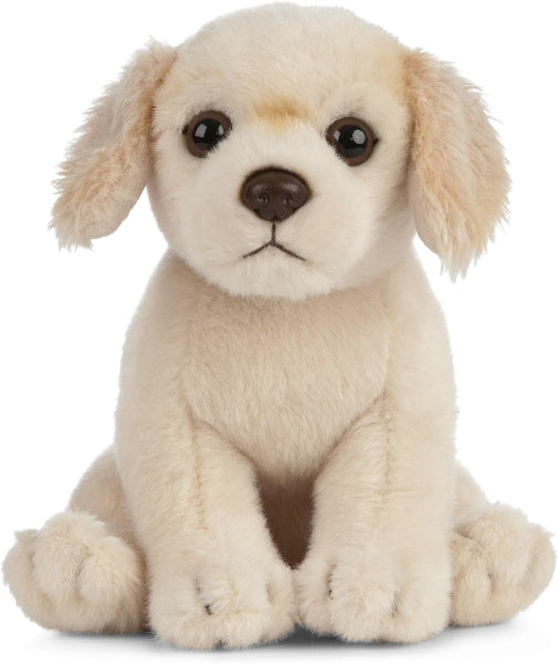 Plush toy dog sitting on a white background