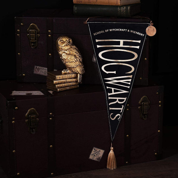 Hogwarts school pennant with owl figurine and trunk on a dark background