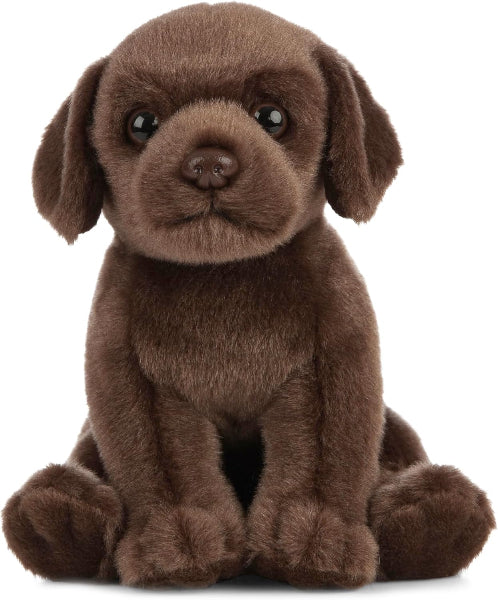 Brown plush dog toy on a white background
