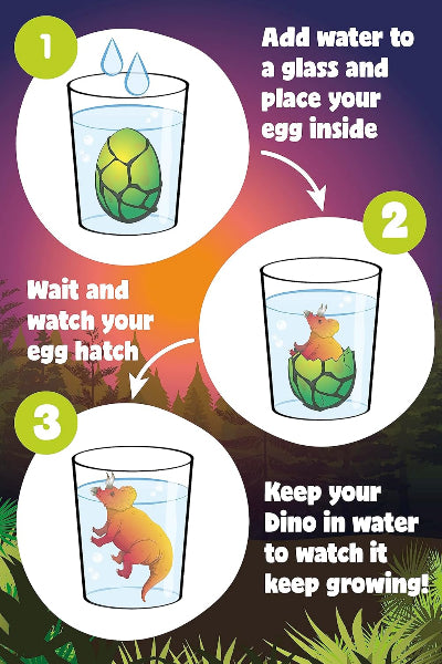 Instructions for a dinosaur egg孵化toy with images and text on a colorful background.