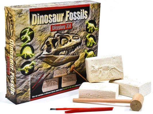 Dinosaur fossils digging kit with packaging and excavation tools on a white background