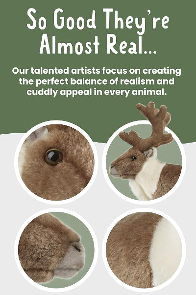 Promotional text about artists creating realistic animal illustrations with close-up shots of animals.