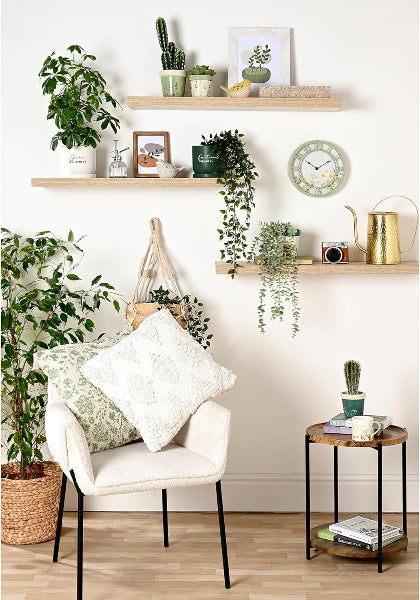 Living room with a white armchair, wooden shelves, and various plants.