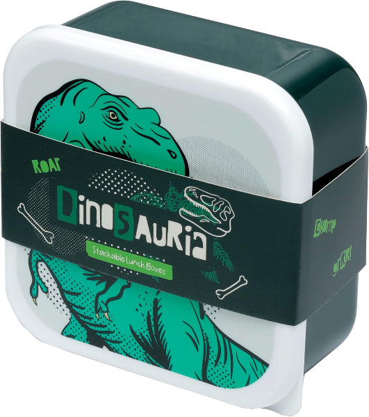 Dinosaur-themed lunch box with green and white design on a white background