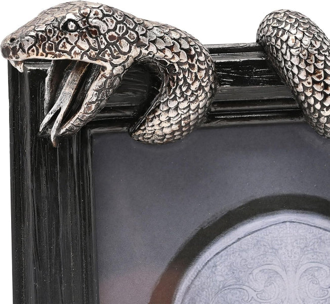 Harry Potter Dark Arts Death Eaters Nagini Frame 4” x 6”