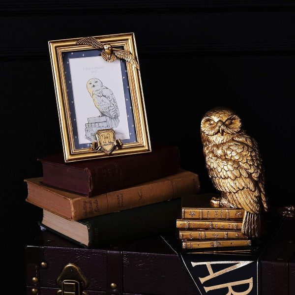 Decorative setup with owl-themed items including a framed picture, books, and an owl figurine on a dark background.